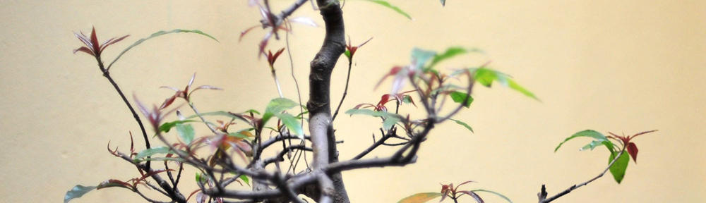 Reformas Valero Redondo